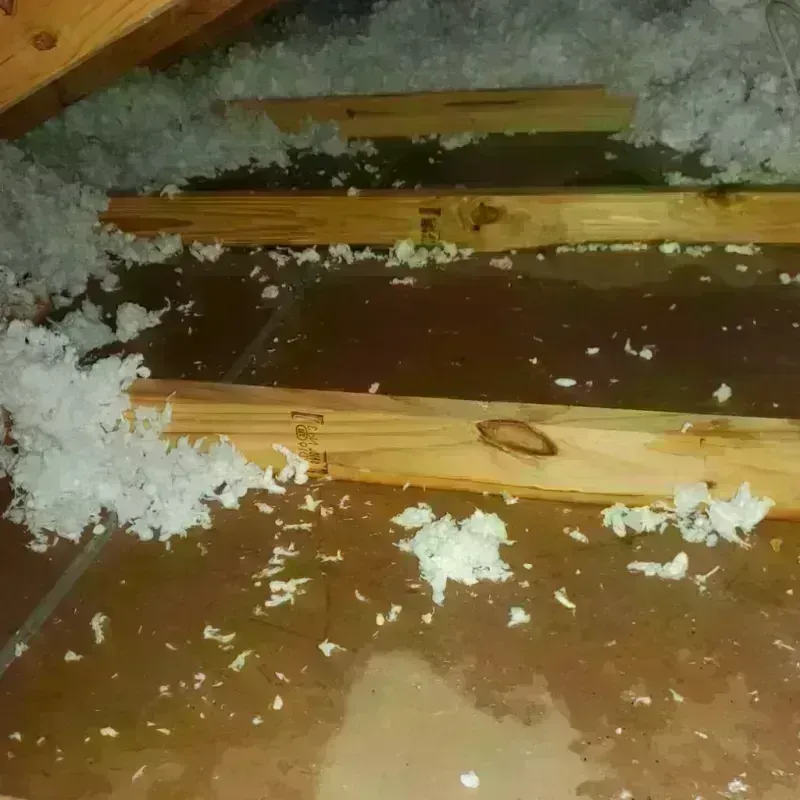 Attic Water Damage in Stonington, ME